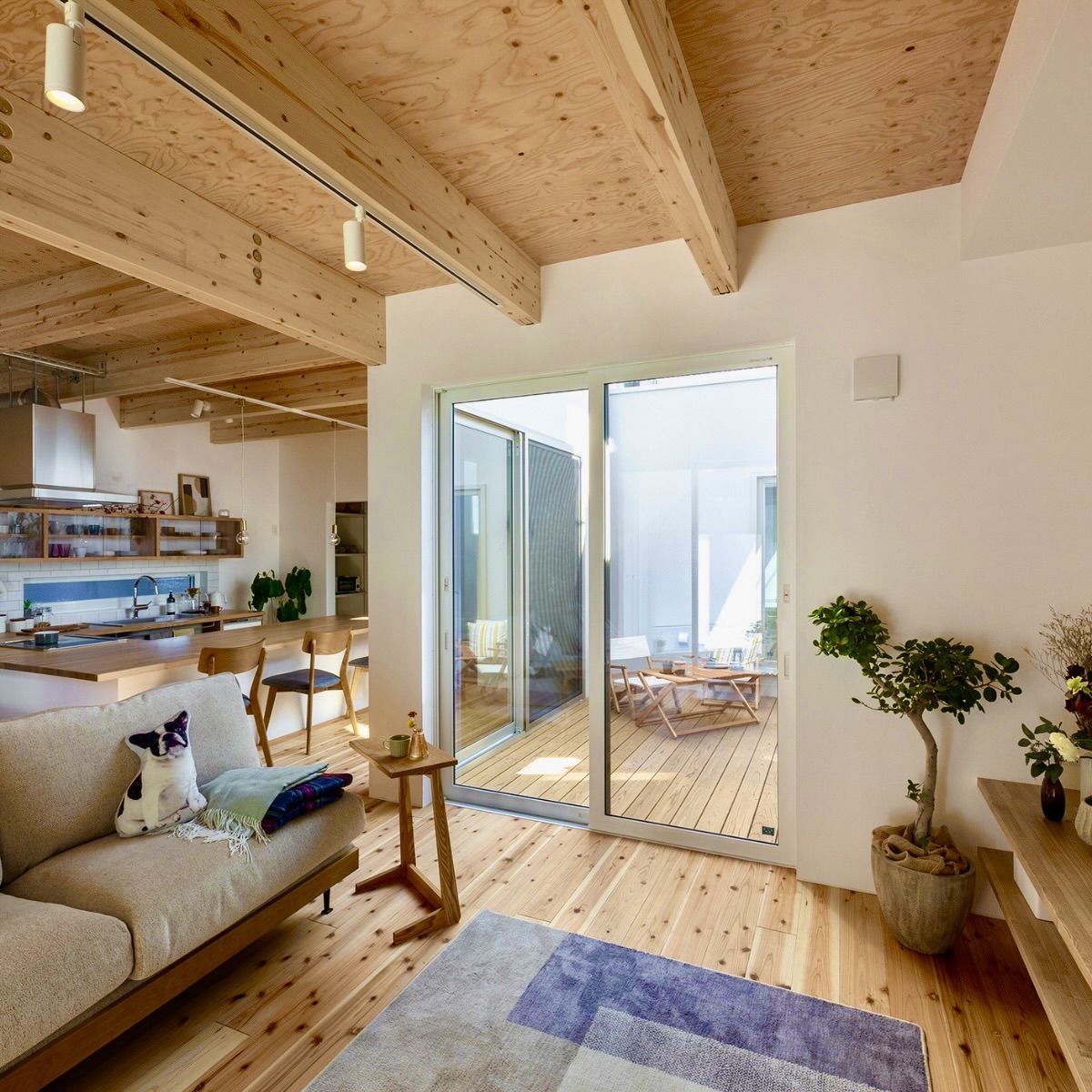 あたたかい料理を囲む時間が、冬をもっと好きにする。コの字型キッチンの暮らし